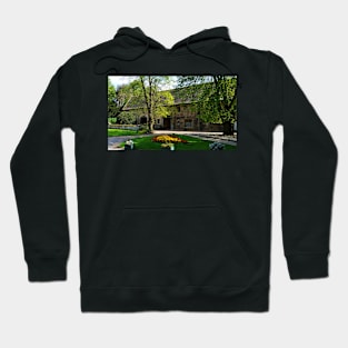 King's School, Ely, Cambridgeshire Hoodie